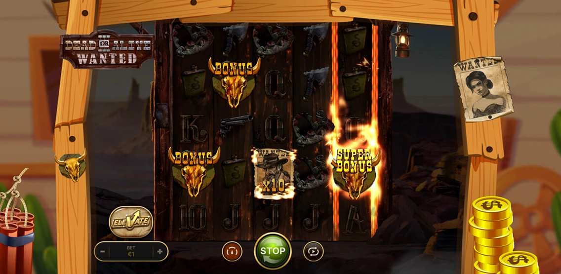 Dead or Alive 3 Slot Design & Theme.